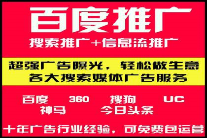 竞价推广实战：案例分析行业领军企业的成功之道